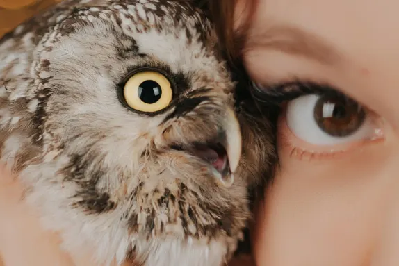 CasinoCasino Cazinou Suport